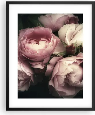 Produktbild von Gerahmtes Poster - Schwarzer Rahmen - Pfingstrose Blume - 40x50 cm - Wand Bild - Wanddeko - Wandbilder - Kunstposter - Wandposter - Bilderrahmen - Bilder - Kunstdruck - Wandbild - P2BPA40x50-3930