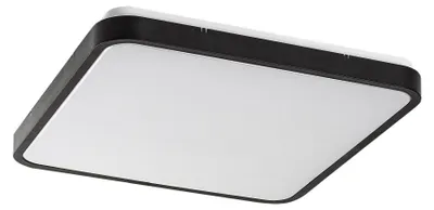 Image de Rabalux 71433 Panneau LED Alenzo LED 36 plastique plastique noir
