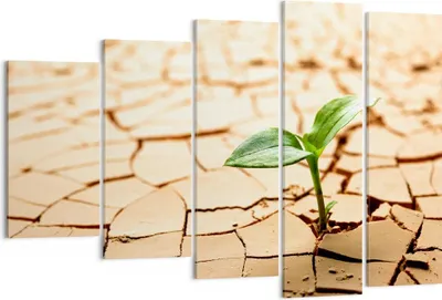 Produktbild von Bild auf Leinwand - Leinwandbild - Wüste Erde Umwelt - 150x100cm - Wand Bild - Wanddeko - Leinwanddruck - Bilder - Kunstdruck - Wanddekoration - Leinwand bilder - Wandkunst - EG150x100-2173