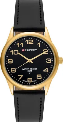Obrázok produktu pre Perfektné pánske hodinky s blistrom IP Perfect-PF00900