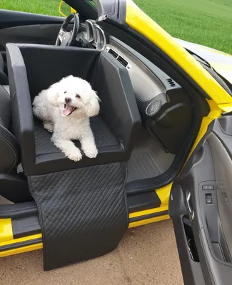 Produktbild von Hundeautositz Beno Hundesitz Hundebett Autokörbchen Autositz Kunst Leder Schwarz S 55x55 cm