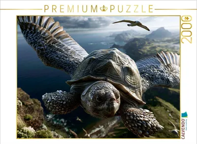 Produktbild von CALVENDO Puzzle Flugschildkröte | 2000 Teile Lege-Größe 90 × 67 cm Foto-Puzzle für glückliche Stunden