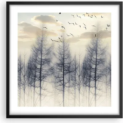 Produktbild von Gerahmtes Poster - Schwarzer Rahmen - Bäume Vögel Himmel - 50x50 cm - Wand Bild - Wanddeko - Wandbilder - Kunstposter - Wandposter - Bilderrahmen - Bilder - Kunstdruck - P2BAC50x50-4546
