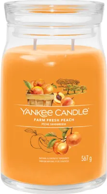 Produktbild von Yankee Candle Signature, Zylinder, Orange, Aprikose, Pfirsich, Vanille, 90 h, 1 Stück(e)