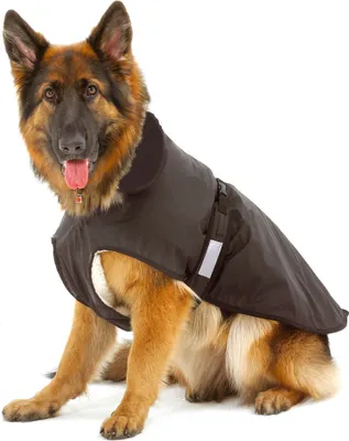 Image de Hundemantel, Outdoor2 In 1, 52 Cmm. Innenfutter