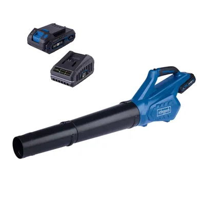 A blue and black leaf blower with two batteries is shown against a white background.