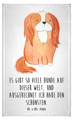Produktbild von Mr. & Mrs. Panda Mini-Handtuch Hund Cavalier King Charles Spaniel - Weiß - Geschenk, Frotteetuch, Kleines Handtuch, Klein, Spruch, Sprüche, Lieblingshund, Cockerspaniel