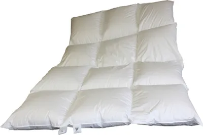 Produktbild von Betten Hofmann White Sibiria Winterdecke Winterbett Daunendecke Daunenbett 3x4 155x220 cm warm