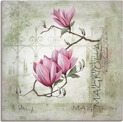 Produktbild von ARTland Leinwandbild Pinke Magnolie Größe: 50x50 cm