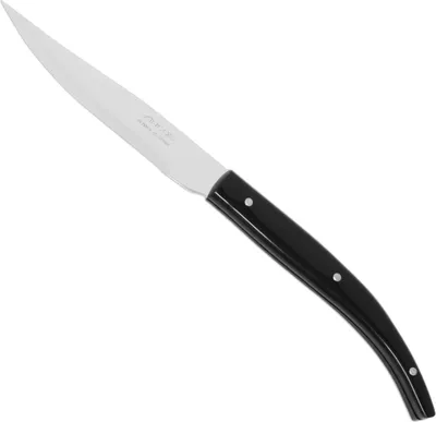 Zdjęcie produktu dla Nóż Do Steków Pieczonych Mięs Steak Basic Dł. 110/230 Mm