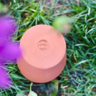 Image de Olla pot de jardin 5L à enterrer système naturel