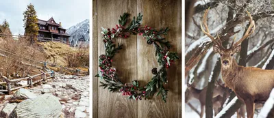 Produktbild von Poster für die Schlafzimmerwand Weihnachten Feiertage Winter Hirsch 3x 30x40