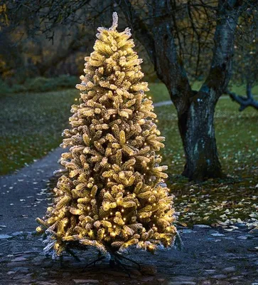 Produktbild von Sirius LED Weihnachtsbaum Anton Tree 234 LED warmweiß außen 1,8 m grün beschneit