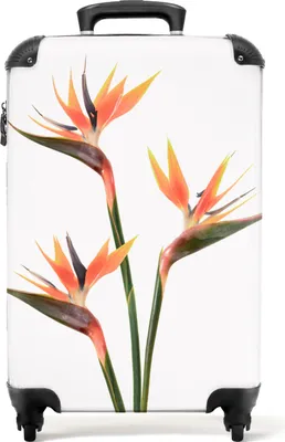 Produktbild von NoBoringSuitcases.com® Koffer Handgepäck Trolley Rollkoffer Kleine Reisekoffer mit 4 Rollen - Blumen - Orange - Natur - Pflanzen - Cabin Size < 55x40x23 cm & 55x40x20 cm - Fotokoffer - Kabinenkoffer - BoardgepäckHandgepäck Koffer 55x35x20 cm, 36L,