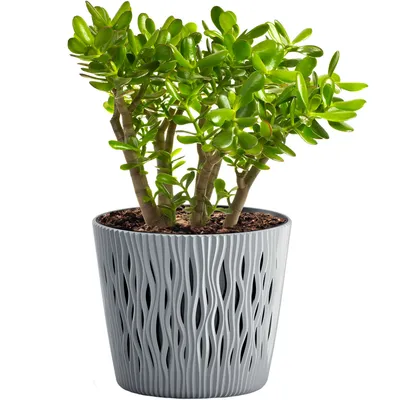 Zdjęcie produktu dla doniczka okrągła + wkład Sandy Round 16xh14cm  szary kamienny