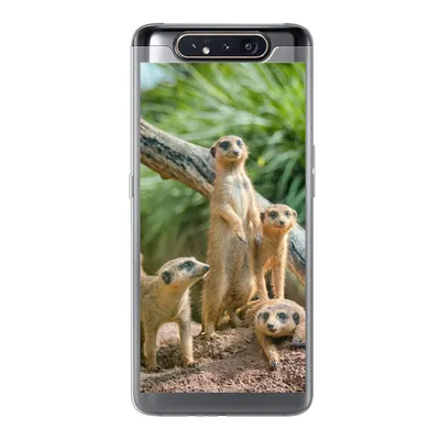 Produktbild von MuchoWow® Handyhülle Schutzhülle Hülle für Samsung Galaxy A80 Familie - Tiere - Erdmännchen Silikon Softcase Handy Hülle - Schutzdeckel