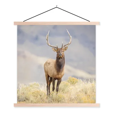 Produktbild von MuchoWow® Textilposter Hirsche - Berge - Gras 40x40 cm mit holzfarbenen Rahmen - Posterleiste