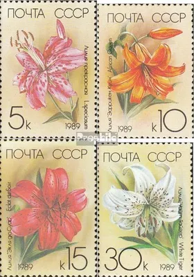Produktbild von Briefmarken Sowjetunion 1989 Mi 5931-5934 (kompl.Ausg.) postfrisch Gartenblumen