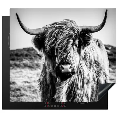 Obrázek produktu pro KitchenYeah® Krycí deska na sporák Scottish Highlander - Nature - Cow - Black - White , 57x51cm, dekorace do kuchyně, keramická krycí deska na sporák, krycí deska na sporák