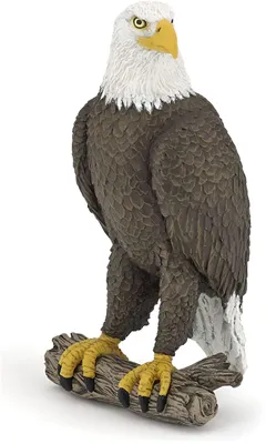 Produktbild von Papo Seeadler, 3 Jahr(e), Wild animal kingdom, Braun, Weiß, Gelb, PVC
