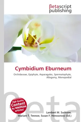 Produktbild von Cymbidium Eburneum