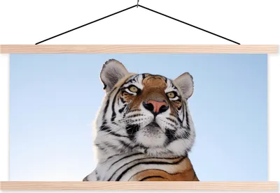 Produktbild von MuchoWow® Textilposter Tiger - Himmel - Kopf 120x60 cm mit holzfarbenen Rahmen - Klemmleiste