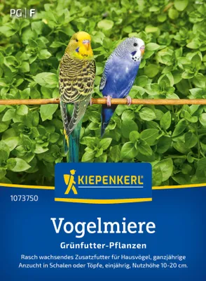 Immagine prodotto di Cicerchia, alimento supplementare a crescita rapida per gli uccelli domestici - coltivazione per tutto l'anno in vassoi o vasi