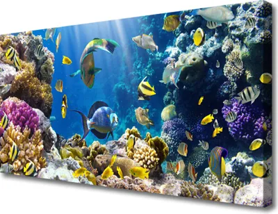 Produktbild von Tulup Leinwand-Bilder 100x50 Wandbild Canvas Kunstdruck Korallenriff Natur