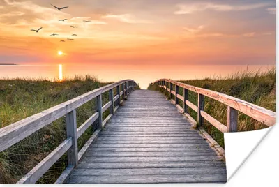 Produktbild von MuchoWow® Poster Sonnenuntergang - Meer - Weg - Gras - Düne - Vögel 180x120 cm - Fotoplakat