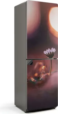 Zdjęcie produktu dla Delikatny kwiat o poranku - Magnetyczna osłona lodówki - Folia dekoracyjna magnetyczna do kuchni - Magnetyczna dekoracja lodówki - Samoprzylepna tablica magnetyczna - Folia magnetyczna na drzwi lodówki - 60x190 cm