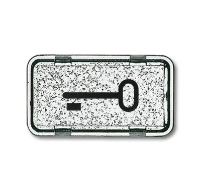 Produktbild von BJ APWG Symbol Schlüssel 2622TR-101 für Allwetter + ocean