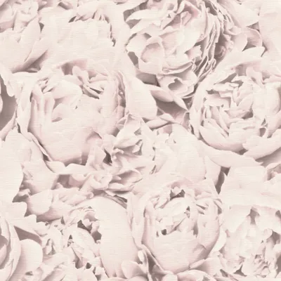Produktbild von Freundin Vliestapete in Rosa-Hellrosa Selection 464252