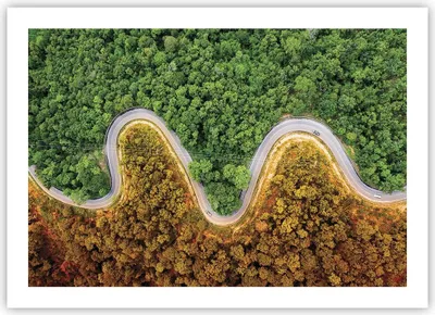 Produktbild von Poster - Poster ohne Rahmen - Luftaufnahmen Weg Wald - 70x50 cm - Wand Bild - Wanddeko - Wandbilder - Kunstposter - Wandposter - Bilder - Kunstdruck - Wanddekoration - Wandbild - P2XAA70x50-4659