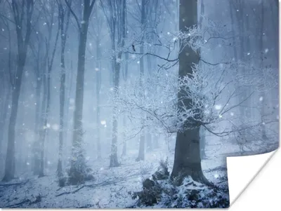Produktbild von MuchoWow® Poster Wald - Winter - Schnee 160x120 cm - Foto Plakat