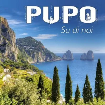 Image de À propos de nous - Les succès de Pupo