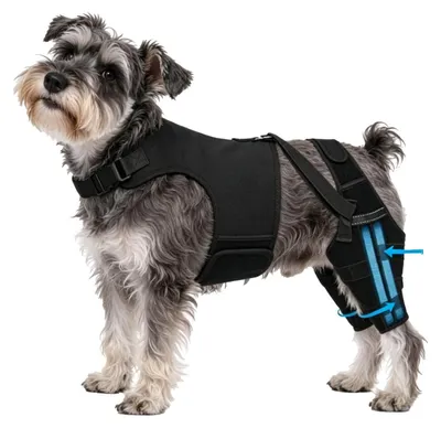Productafbeelding van Hond Achterbeen Steunbandage voor Gewrichtsstabiliteit