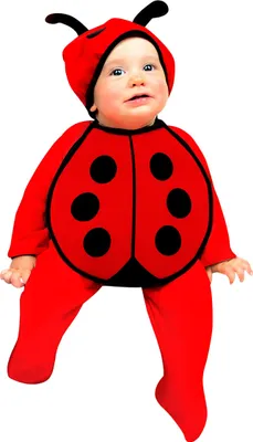 Produktbild von Baby Marienkäferchen Kostüm Set Babykostüm schwarz-rot - Einheitsgröße