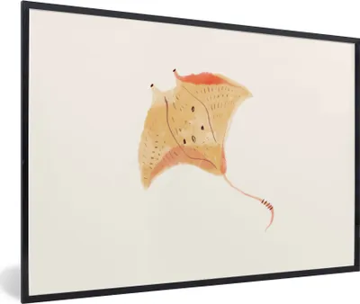 Produktbild von MuchoWow® MuchoWow® Gerahmtes Poster Rochen - Fisch - Aquarell 60x40 cm - Poster mit zchwarzem Bilderrahmen - Printing - Wanddeko Schlafzimmer
