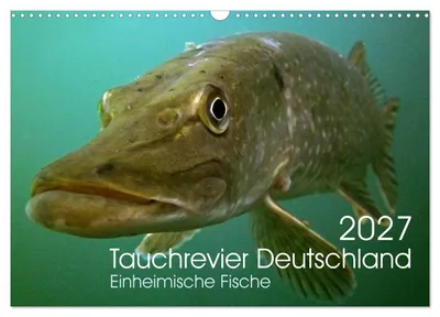Produktbild von Kalender 2027 · US-Version · Tauchgebiete Deutschland (Wandkalender 2027 17" × 12" Querformat), CALVENDO 12-Monats-Wandkalender