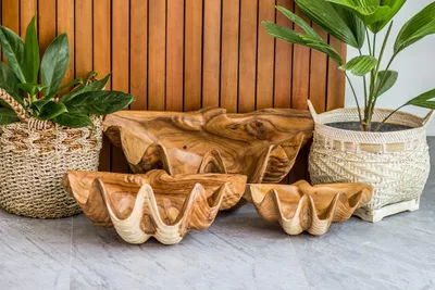 Produktbild von Oyster Muschelschale 50 Suarholz