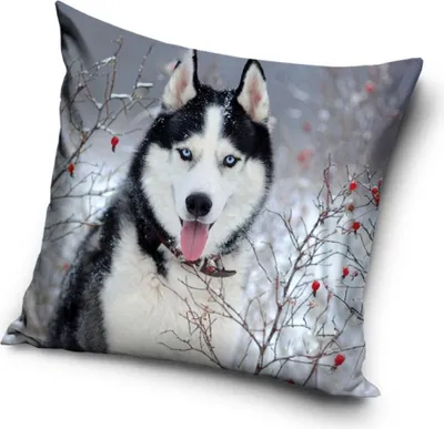 Zdjęcie produktu dla Poszewka na poduszkę dla psa 40*40 cm