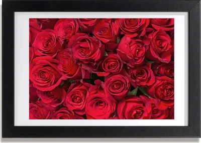 Produktbild von Bild 30x20 MDF-Rahmen, Wandkunst rote Rosen