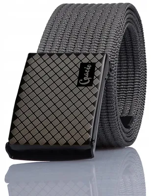 Produktbild von Gracio Stoffgürtel Grau Modisch Breit 145 cm Elegant