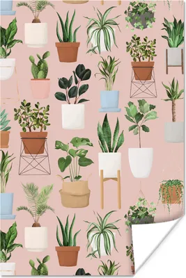 Produktbild von MuchoWow® Poster Pflanzen - Monstera - Kaktus - Palme 20x30 cm - Papierdruck