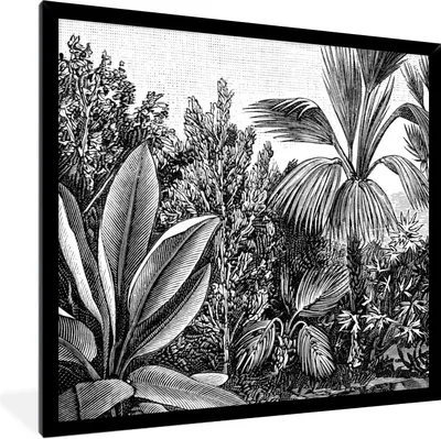 Produktbild von MuchoWow® Gerahmtes Poster Pflanzen - Natur - Gestaltung - Illustration - Ernst Haeckel 40x40 cm - Poster mit Schwarzem Bilderrahmen Wandposter Rahmen Foto Bilder - Mit Rahmen - Wanddekoration Schlafzimmer