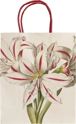 Produktbild von Geschenkpapier-Tasche "Weihnachten in Grün und Weiß" mit Amaryllis-Motiv