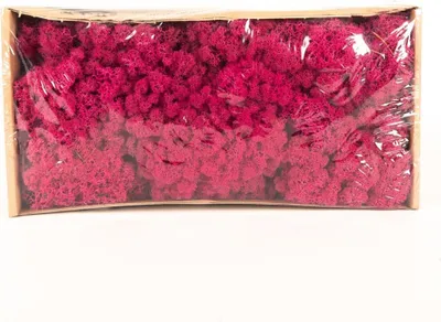 Produktbild von INNA-Glas Dekoratives Moos SVEINBJÖRN, Magenta, 500g - Echtes Isländisches Moos