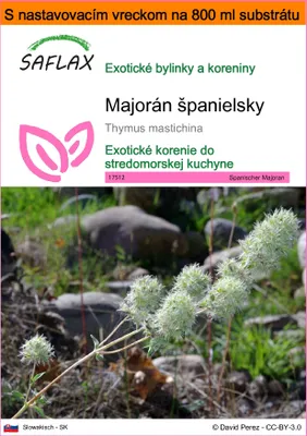 Obrázok produktu pre SAFLAX Garden in the bag - Majorán španielsky - Thymus mastichina - 250 Semená - S pestovateľským substrátom v praktickom samostaviteľnom vrecku