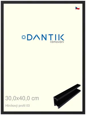 Zdjęcie produktu dla Rama DANTIK 30x40 | Profil ALU 7003 Czarny mat (Plexi Clear)