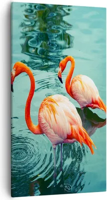 Produktbild von Bild auf Leinwand - Leinwandbild - Einteilig - Rosa Flamingos Wasser - 55x100cm - Wand Bild - Wanddeko - Wandbilder - Leinwanddruck - Bilder - Wanddekoration - Leinwand bilder - PA55x100-4203
